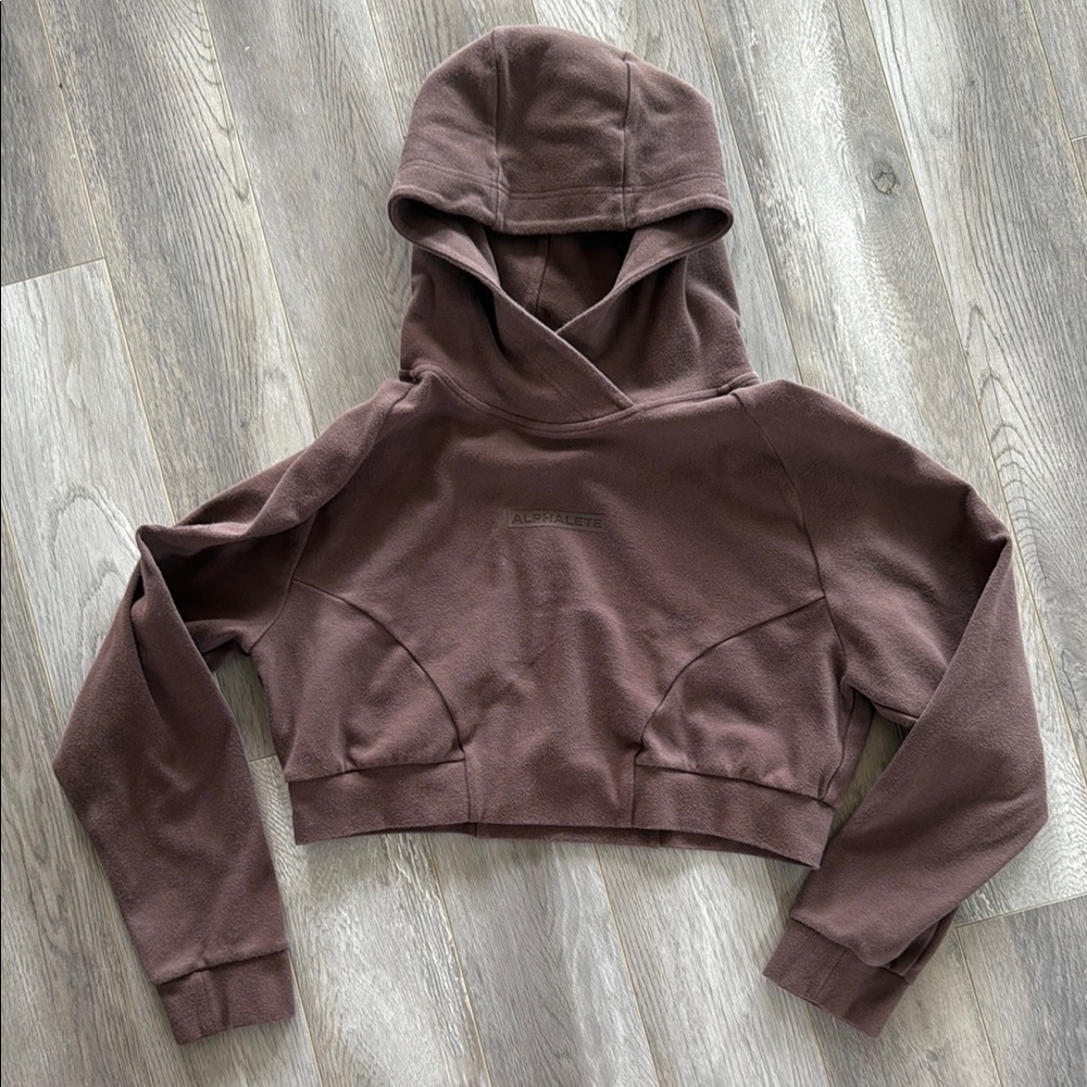 Alphalete Cropped Hoodie, Size Medoum